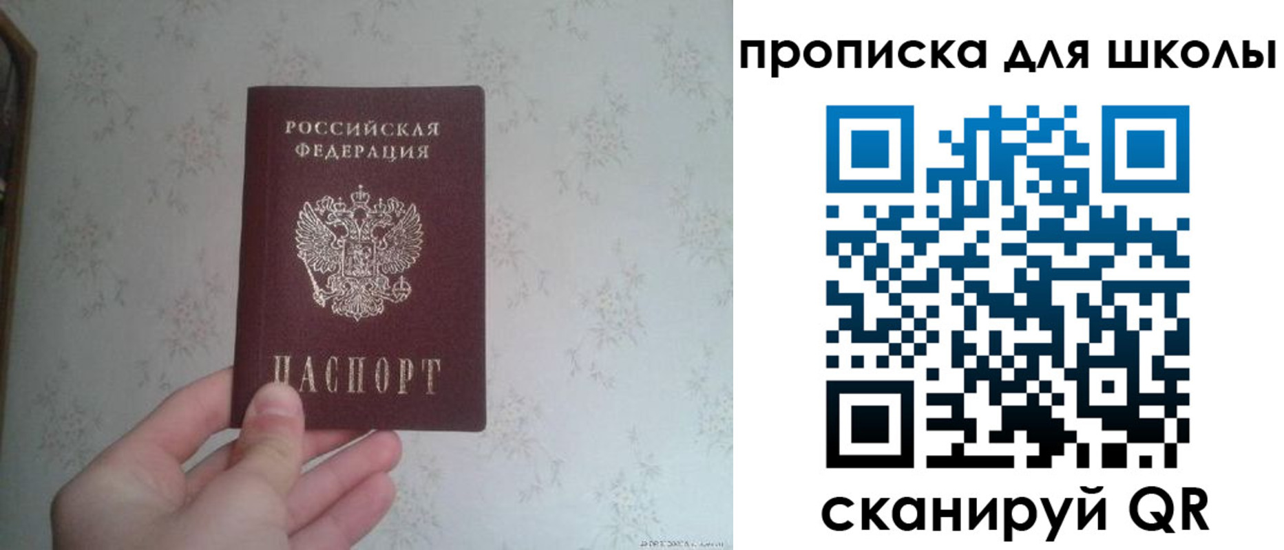 прописка в квартире в Острове